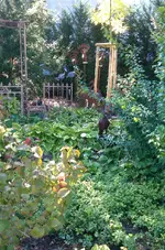 03_IMAG2323.webp