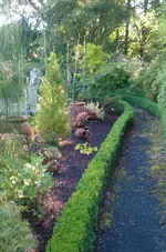 05_IMAG2325.webp