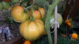 20140829_151119.webp