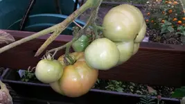 20140829_151124.webp