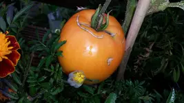 20140829_151134.webp