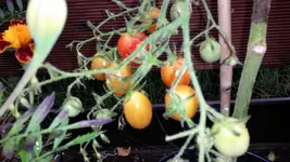 20140829_151202.webp