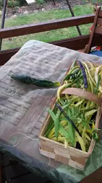 20140829_150910.webp