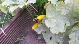 20140829_151437.webp