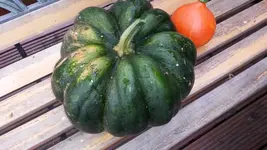 20140829_150823.webp