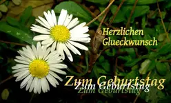 Herzlichen Glueckwunsch.....webp