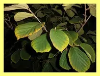 027.webp