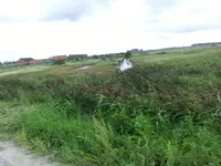 CIMG8760.webp