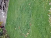 20140830_092206.webp
