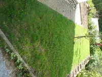 k-P1080243.webp