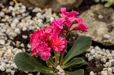 Stg 14-08-30-3412.webp