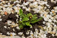 Stg 14-08-30-3414.webp