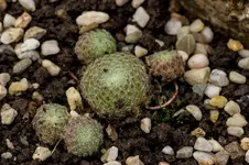 Stg 14-08-30-3415.webp