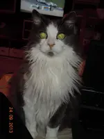 Katerle_2.webp