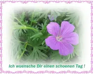 schoener Tag btv.webp