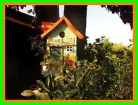 012.webp