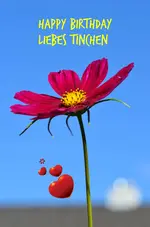 tinchen.webp