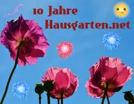 1 (12).webp