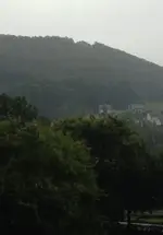 nebel1.webp