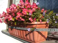 BILD2501.webp