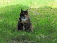 Copy of IMG_0534v.webp
