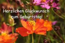 Geburtstag Tinchen.webp