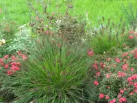 SAM_5311.webp