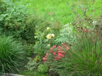 SAM_5312.webp