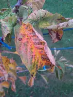 IMG_20140831_192000.webp