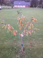IMG_20140831_191936.webp