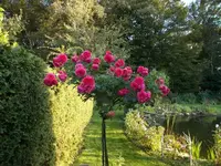 DSCN0062.webp