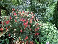 CIMG8836.webp