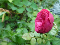 P1190320.webp
