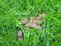 DSCN9401.webp