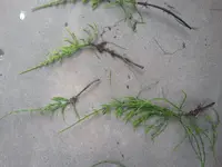 20140901_131101.webp