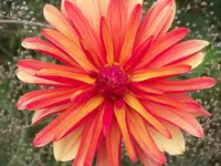 002.webp
