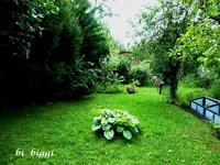 P1000701.webp