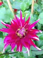 image.webp