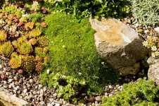 Stg 14-08-27-3397.webp