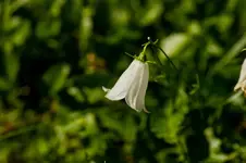 Stg 14-08-27-3399.webp