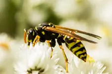 Stg 14-08-27-3404.webp