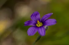 Stg 14-08-30-3416.webp Stg 14-08-30-3416.webp