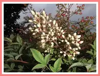 045.webp