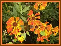 076.webp