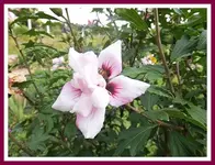 047.webp