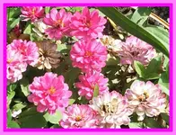 143.webp