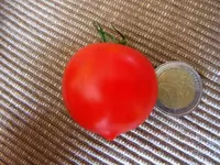 006.webp
