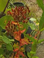 K800_DSCF4643.webp