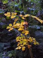 K800_DSCF4696.webp