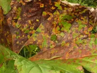 K800_DSCF4786.webp